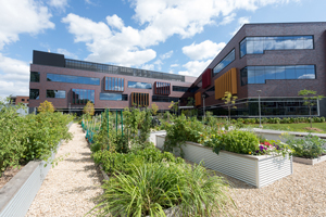 A vibrant community garden with several raised metal planting beds and gravel paths in front of a modern brick building.