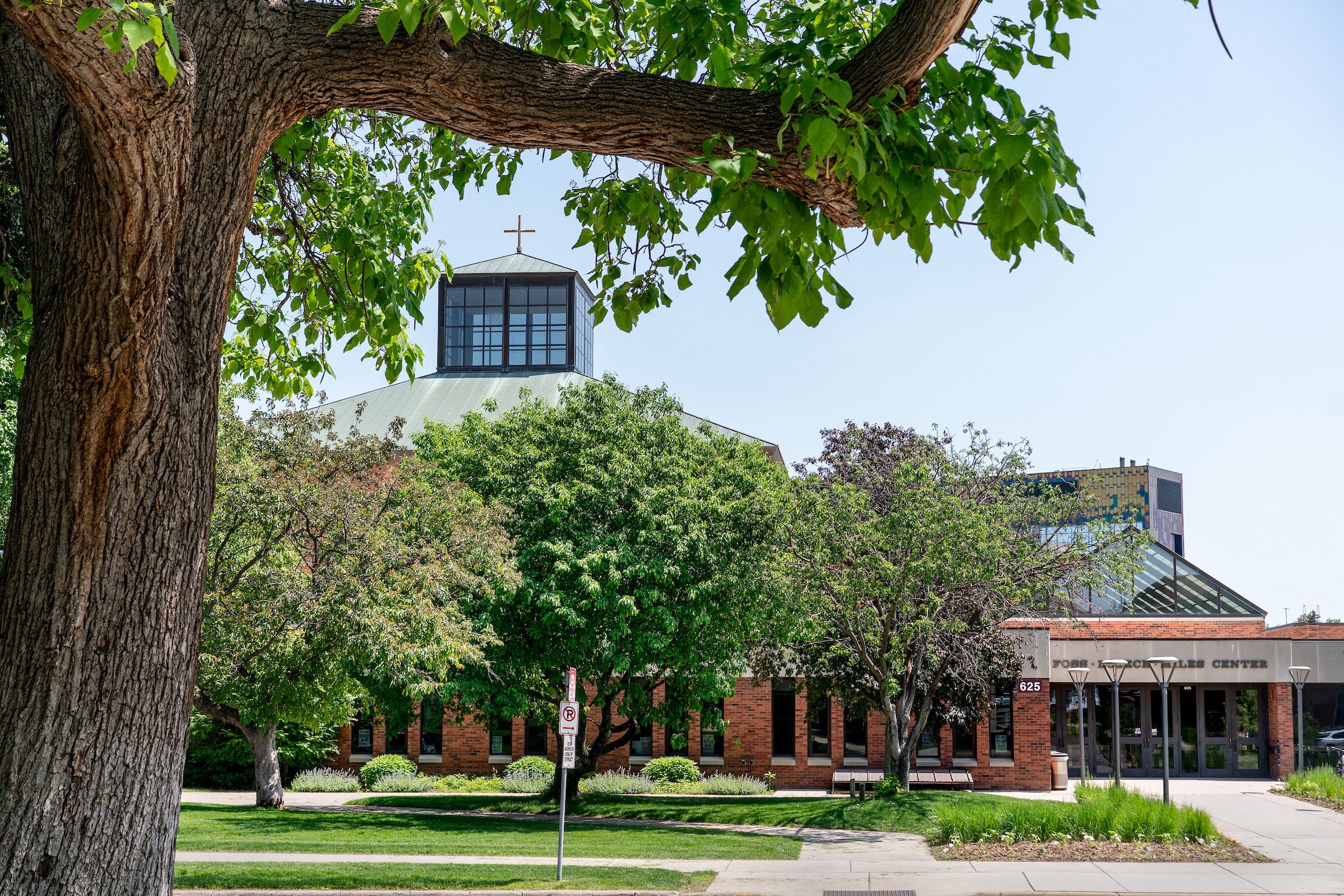 The image depicts a building partially obscured by lush green trees with a clear blue sky in the background. In the foreground, a large tree with a sturdy, textured trunk and vibrant green leaves stretches across the top. The building features a copper-green sloping roof with a cross mounted on top, indicating a possible religious affiliation. The lower portion of the building has brick walls and a series of vertical windows. Towards the right, a sign with the text "Pope John XXIII Catholic Center" is visible. A pathway and green lawn are present at the bottom of the image.