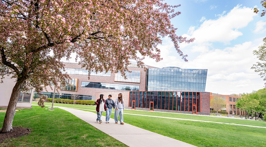 Three students walk along a paved campus path past a modern brick and glass building on a sunny spring day, framed by a blooming pink tree in the foreground.
