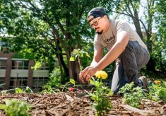 Caring for campus