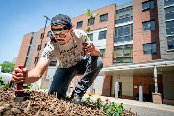 Man wearing glasses and a backward baseball cap kneeling in a garden bed, using a trowel to plant a small seedling in front of a brick building.