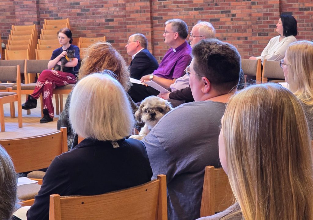 3 A group of people sits in rows of wooden chairs inside a brick-walled room. In the foreground, several attendees are seen from behind, while others face toward the left side of the room. Near the center, a person holds a small black-and-gray cat, and another attendee holds a small white-and-brown dog. A person near the center wears a purple shirt with a white clerical collar. Additional attendees sit along the back row, and several empty chairs are visible on the left. The room has warm wood flooring, tan upholstered chair seats, and reddish-brown brick walls.