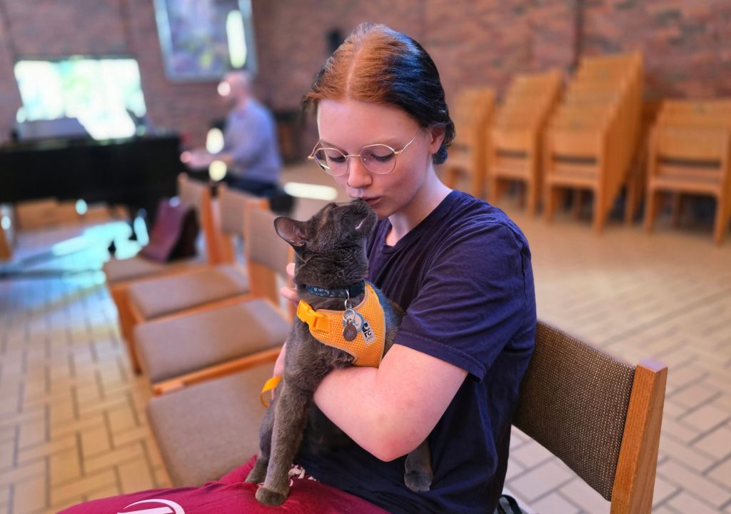 7 A person wearing glasses and a dark shirt sits on a wooden chair while holding a gray cat. The person is looking down toward the cat, which wears a bright orange harness and a dark collar with hanging tags. The scene appears to be indoors, with rows of wooden chairs, a brick wall, tiled flooring, and blurred people and furnishings in the background. Warm lighting and shallow focus emphasize the person and cat in the foreground.