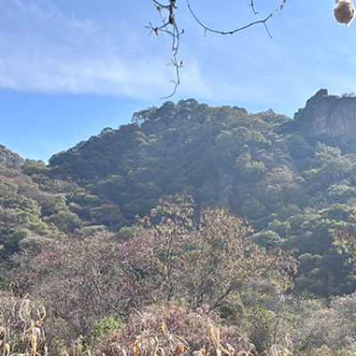 IMG_6814 Scenic landscape of dense green trees and vegetation leading up to a rocky mountain ridge under a blue sky.