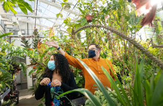 How a Minnesota greenhouse acquired a diverse plant collection from around the globe—and how it all thrives under one roof