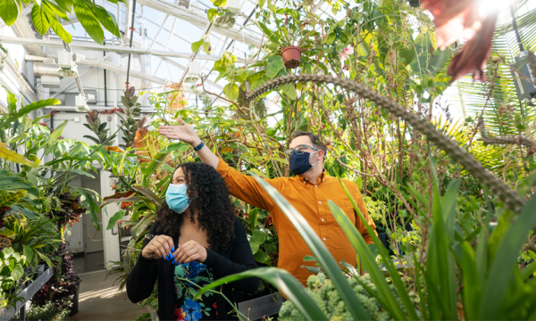 How a Minnesota greenhouse acquired a diverse plant collection from around the globe—and how it all thrives under one roof