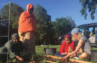 Generosity Blossoms in Augsburg’s Community Garden