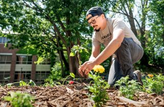 Caring for campus