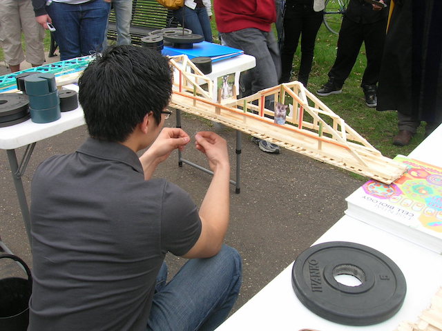 Auggie making a bridge