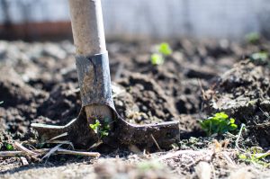 Shovel digging into earth