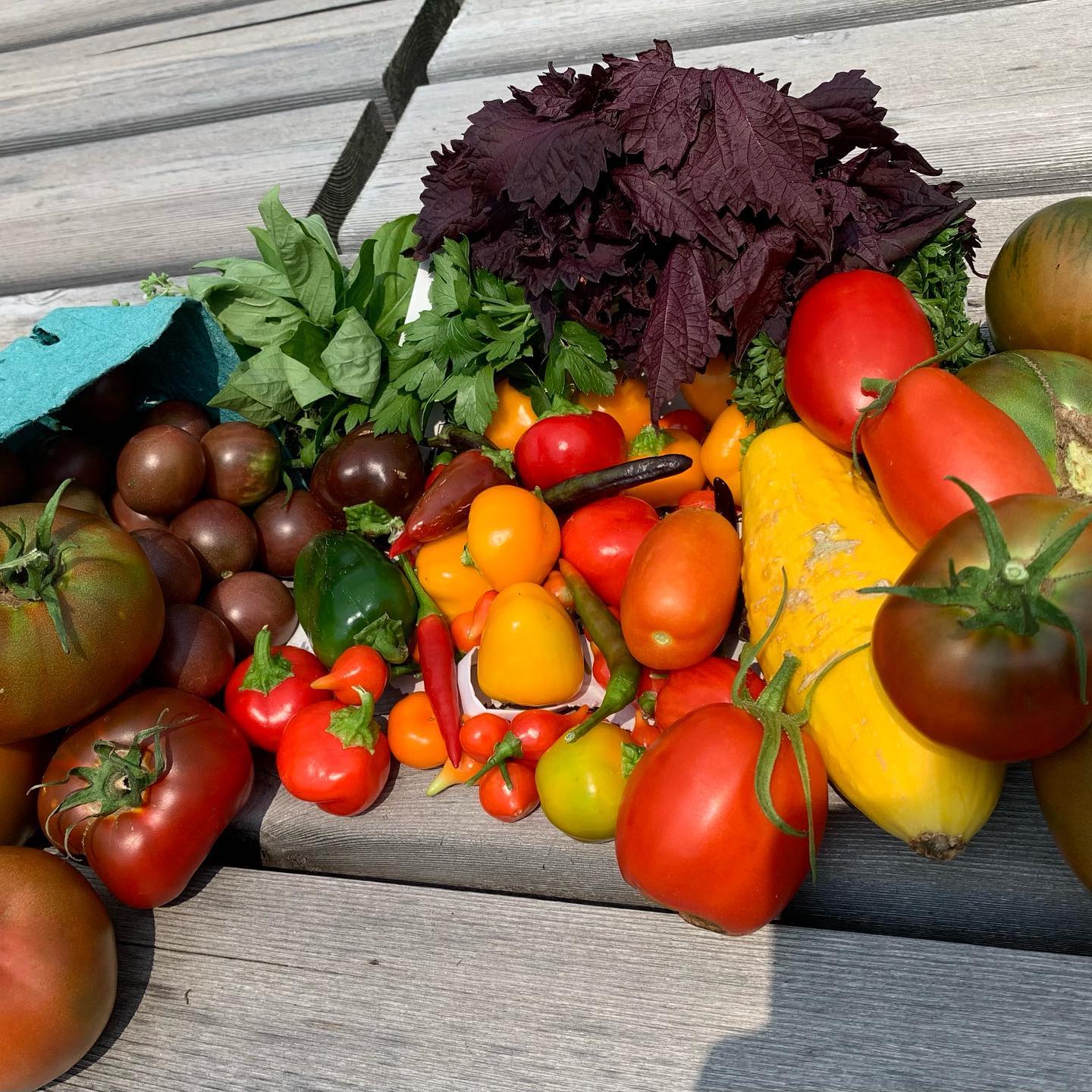 photo of fresh vegetables