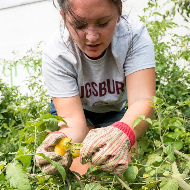 Student working in a garden